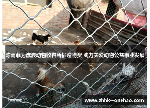 陈雨菲为流浪动物收容所捐赠物资 助力关爱动物公益事业发展